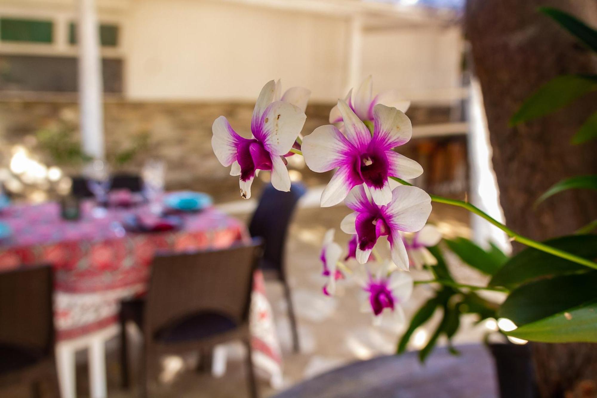 Amagali Pousada غالينوس المظهر الخارجي الصورة